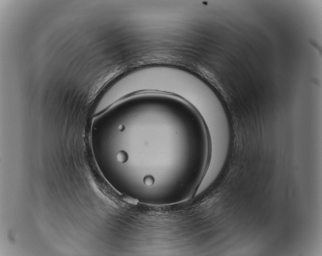 X0000099380538200805221809