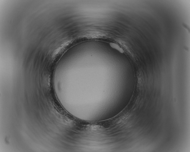 X0000099380539200805221809