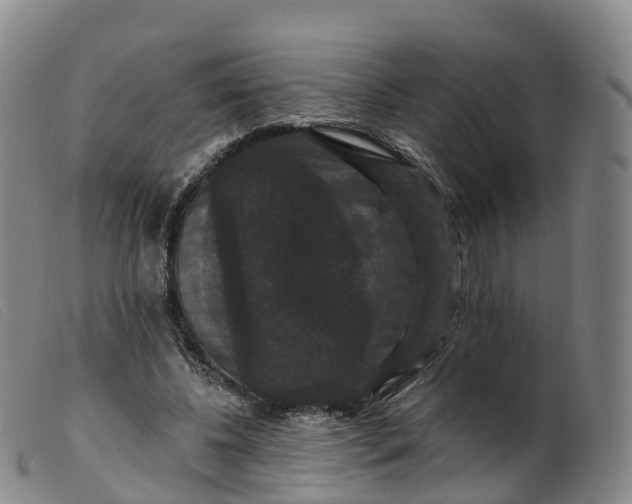 X0000099380540200805221809