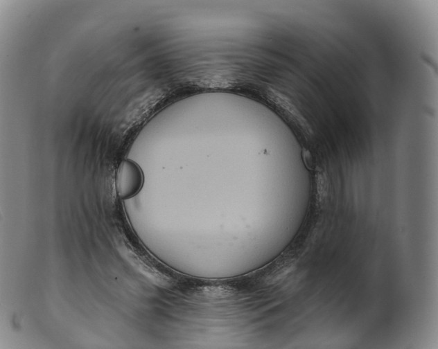 X0000099380541200805221809