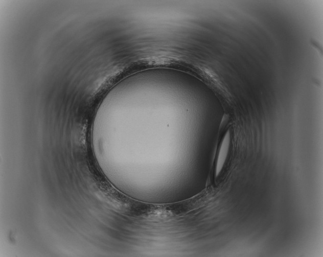 X0000099380543200805221809