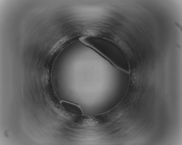 X0000099380544200805221809