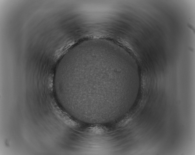 X0000099380545200805221809