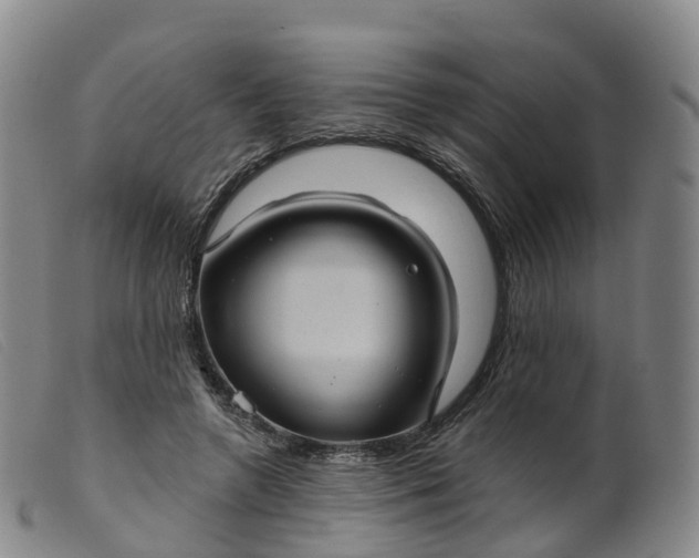 X0000099380546200805221809