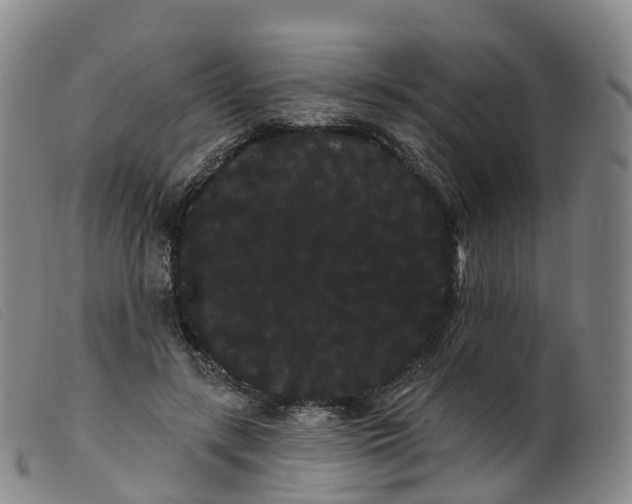 X0000099380547200805221809