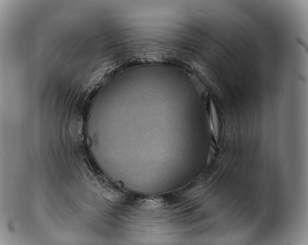 X0000099380548200805221809