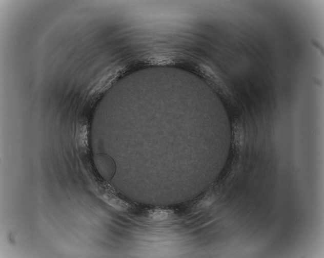 X0000099380549200805221809