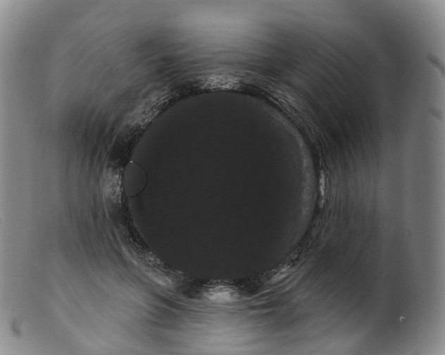 X0000099380551200805221809