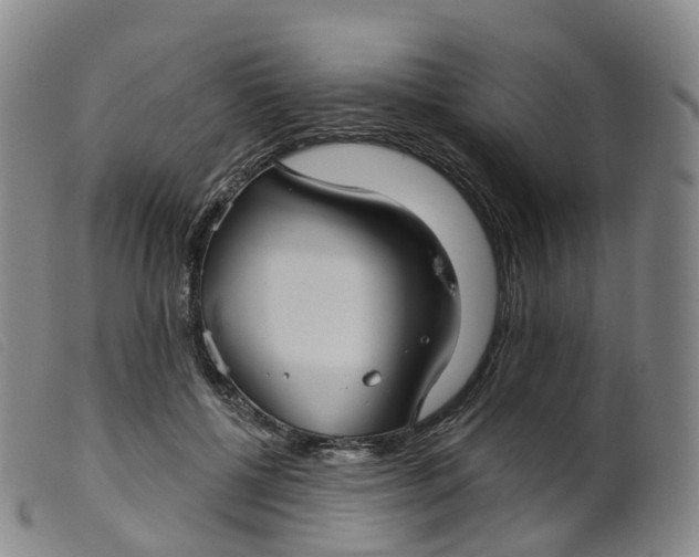 X0000099380552200805221809