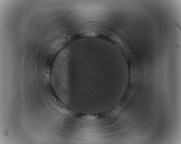 X0000099380553200805221809