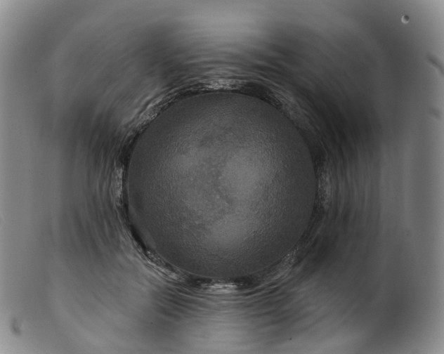 X0000099380554200805221809