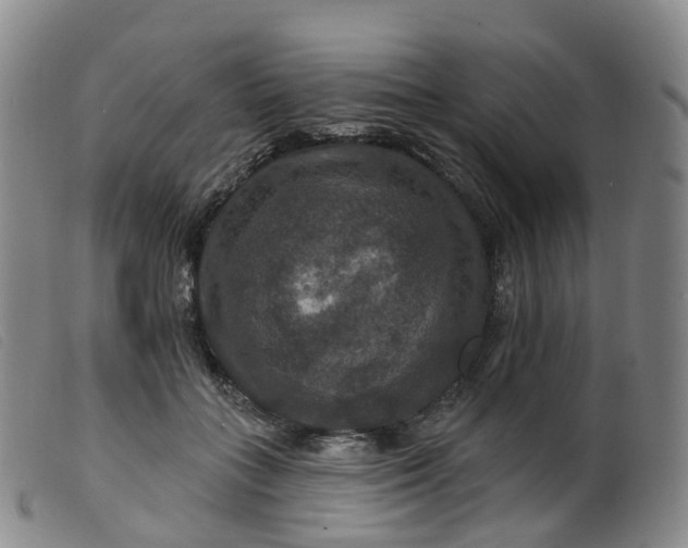 X0000099380555200805221809