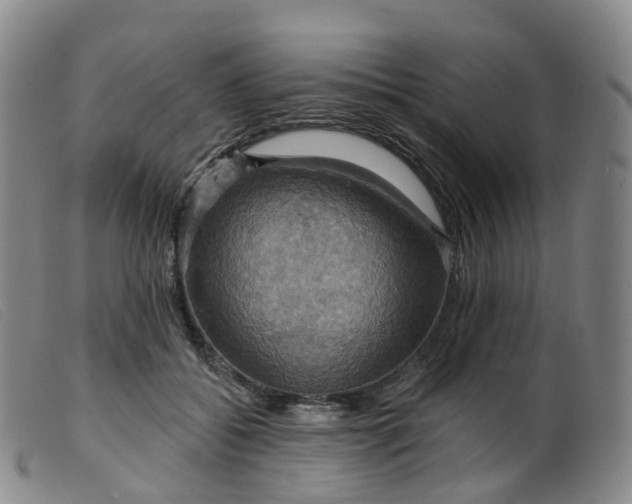 X0000099380556200805221809