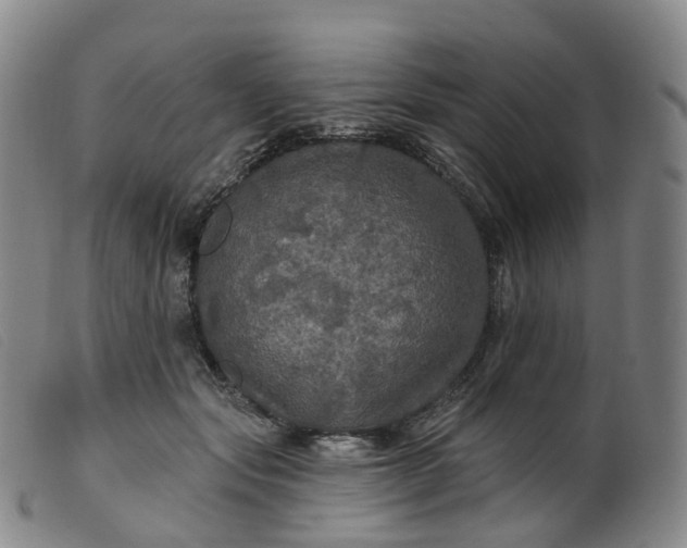 X0000099380557200805221809