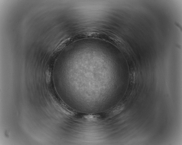 X0000099380558200805221809