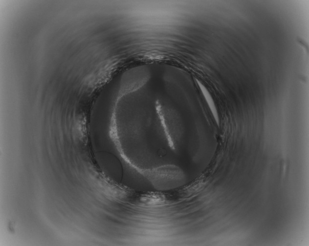 X0000099380559200805221809