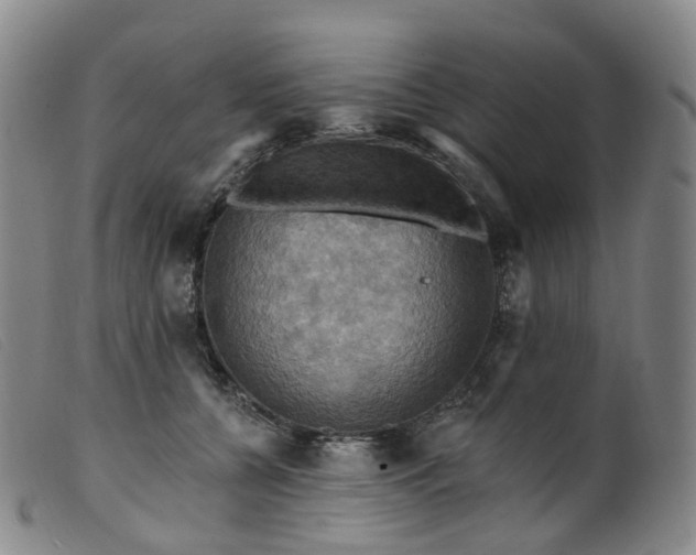 X0000099380560200805221809