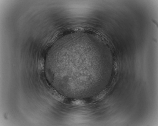 X0000099380561200805221809