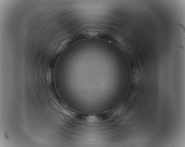 X0000099380562200805221809