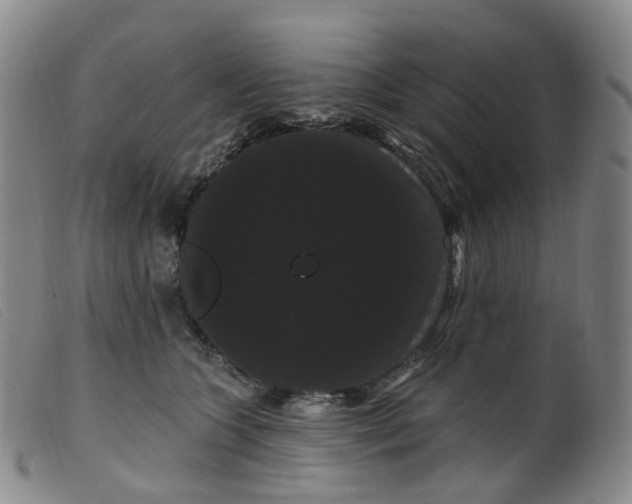 X0000099380563200805221809