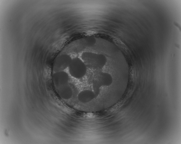 X0000099380565200805221809