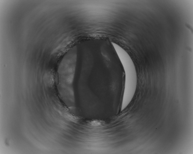 X0000099380566200805221809