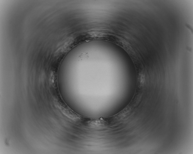 X0000099380567200805221809