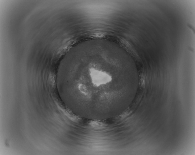 X0000099380568200805221809