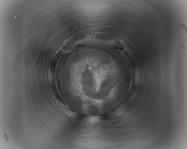 X0000099380569200805221809