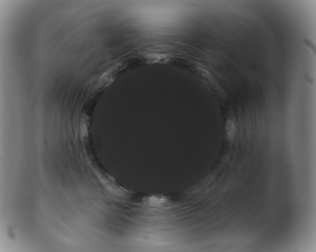 X0000099380570200805221809