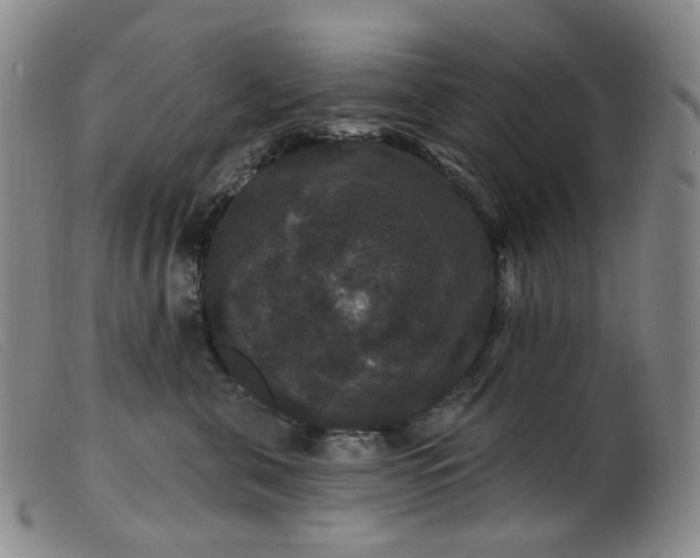 X0000099380571200805221809