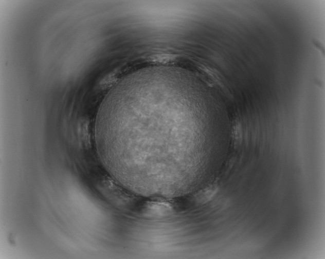 X0000099380572200805221809