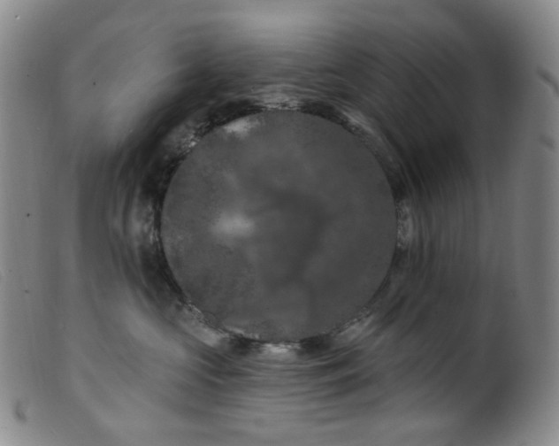 X0000099380573200805221809