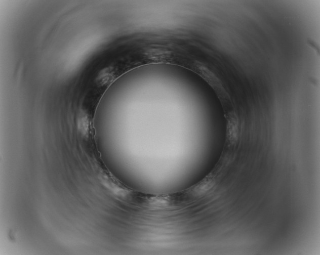 X0000099380574200805221809