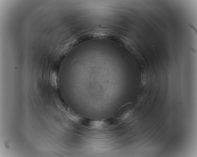 X0000099380575200805221809