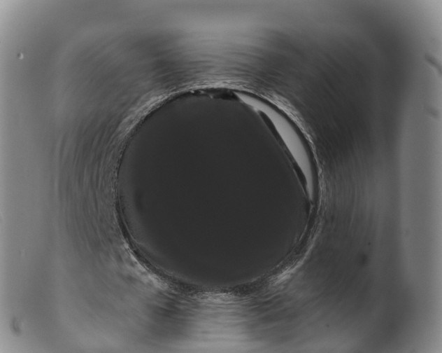 X0000099380577200805221808