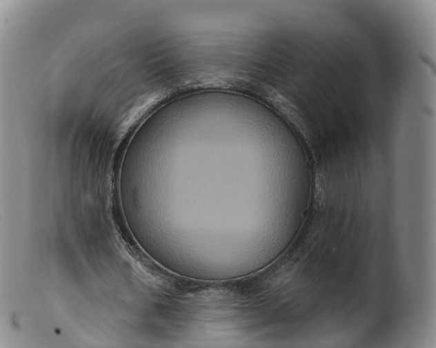 X0000099380578200805221808