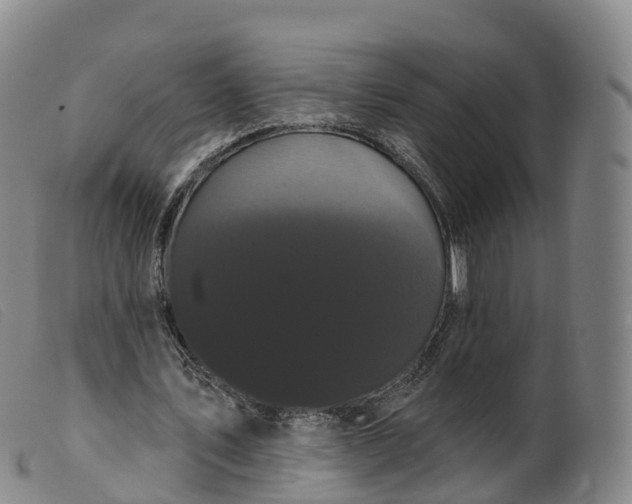 X0000099380579200805221808