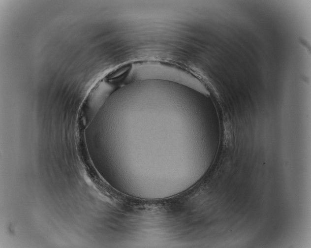 X0000099380580200805221808