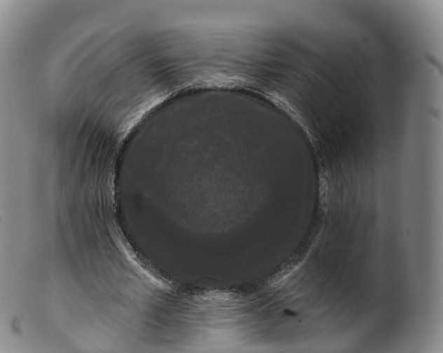 X0000099380581200805221808