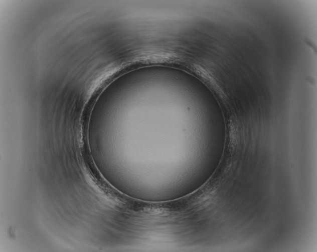 X0000099380582200805221808