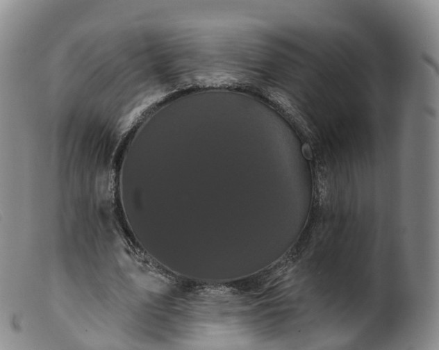 X0000099380583200805221808