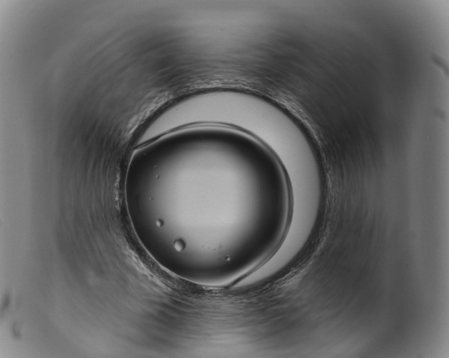 X0000099380585200805221808