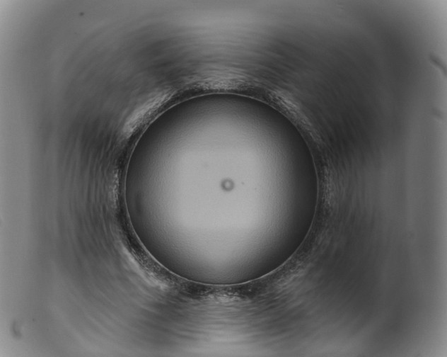 X0000099380586200805221808