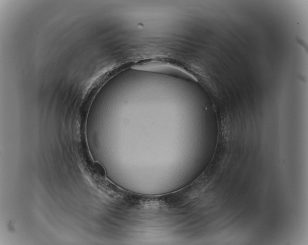 X0000099380587200805221808