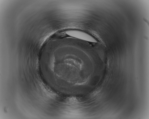 X0000099380588200805221808