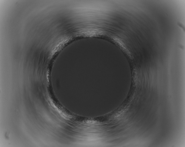 X0000099380590200805221808