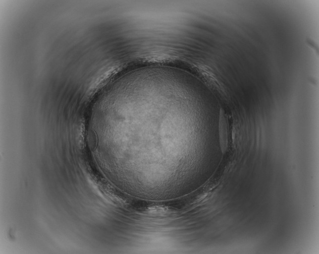 X0000099380591200805221808