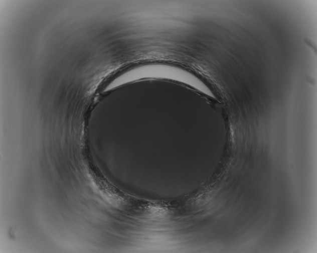 X0000099380592200805221808