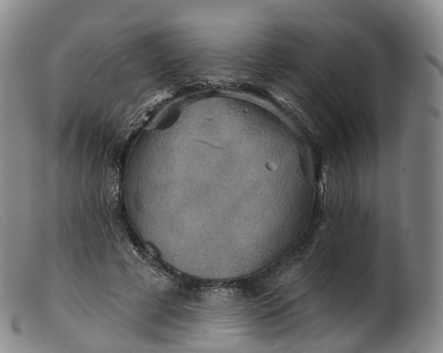 X0000099380593200805221808